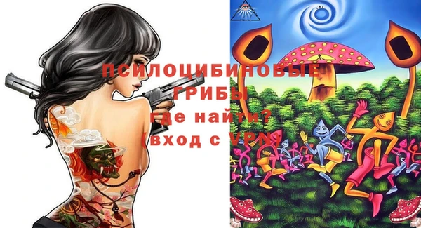 ECSTASY Зеленодольск