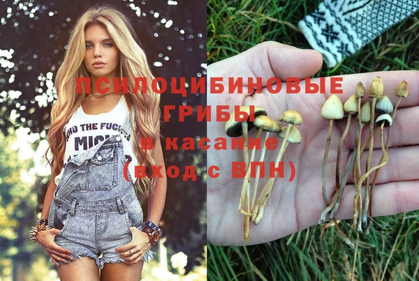 ПСИЛОЦИБИНОВЫЕ ГРИБЫ Зеленокумск