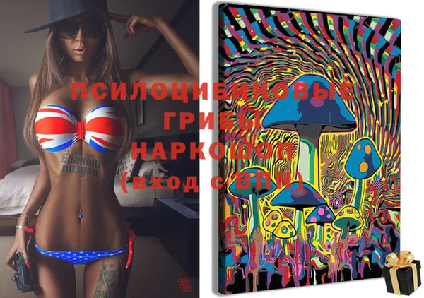ПСИЛОЦИБИНОВЫЕ ГРИБЫ Зеленокумск