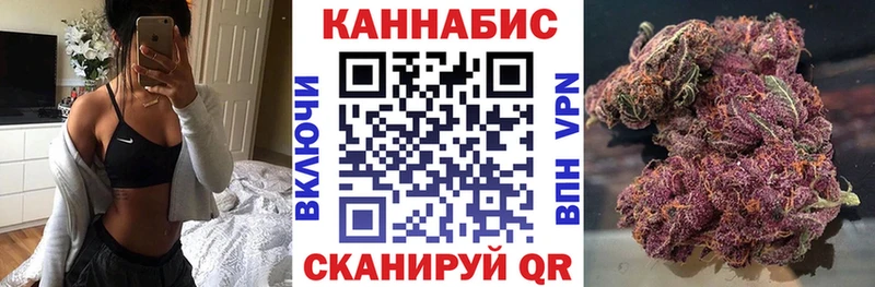 Купить закладки  Владимир  Конопля ГИДРОПОН 